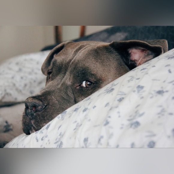 Like This Post To Be Notified When I Go Live - Picture 14 of 16